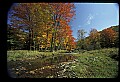 02256-00105-Spruce Knob National Recreation Area-Monongahela National Forest.jpg