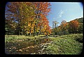 02256-00106-Spruce Knob National Recreation Area-Monongahela National Forest.jpg