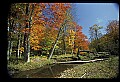 02256-00108-Spruce Knob National Recreation Area-Monongahela National Forest.jpg