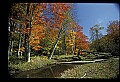 02256-00109-Spruce Knob National Recreation Area-Monongahela National Forest.jpg