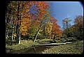 02256-00111-Spruce Knob National Recreation Area-Monongahela National Forest.jpg