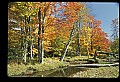 02256-00114-Spruce Knob National Recreation Area-Monongahela National Forest.jpg