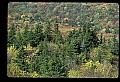 02256-00117-Spruce Knob National Recreation Area-Monongahela National Forest.jpg
