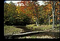 02256-00118-Spruce Knob National Recreation Area-Monongahela National Forest.jpg