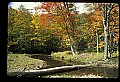 02256-00119-Spruce Knob National Recreation Area-Monongahela National Forest.jpg