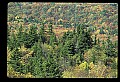 02256-00122-Spruce Knob National Recreation Area-Monongahela National Forest.jpg