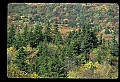 02256-00123-Spruce Knob National Recreation Area-Monongahela National Forest.jpg