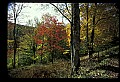 02256-00124-Spruce Knob National Recreation Area-Monongahela National Forest.jpg