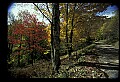 02256-00128-Spruce Knob National Recreation Area-Monongahela National Forest.jpg