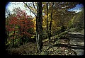 02256-00128-Spruce Knob National Recreation Area-Monongahela National Forest.jpg