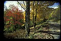 02256-00129-Spruce Knob National Recreation Area-Monongahela National Forest.jpg