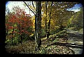 02256-00129-Spruce Knob National Recreation Area-Monongahela National Forest.jpg