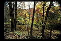 02256-00130-Spruce Knob National Recreation Area-Monongahela National Forest.jpg