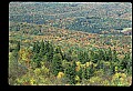 02256-00131-Spruce Knob National Recreation Area-Monongahela National Forest.jpg