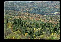 02256-00133-Spruce Knob National Recreation Area-Monongahela National Forest.jpg