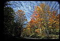 02256-00136-Spruce Knob National Recreation Area-Monongahela National Forest.jpg