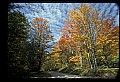 02256-00137-Spruce Knob National Recreation Area-Monongahela National Forest.jpg