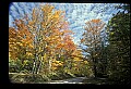 02256-00138-Spruce Knob National Recreation Area-Monongahela National Forest.jpg