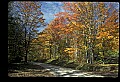 02256-00142-Spruce Knob National Recreation Area-Monongahela National Forest.jpg