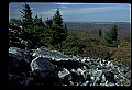 02256-00160-Spruce Knob National Recreation Area-Monongahela National Forest.jpg