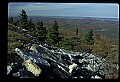 02256-00161-Spruce Knob National Recreation Area-Monongahela National Forest.jpg