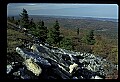 02256-00162-Spruce Knob National Recreation Area-Monongahela National Forest.jpg