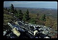 02256-00164-Spruce Knob National Recreation Area-Monongahela National Forest.jpg