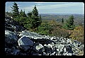 02256-00165-Spruce Knob National Recreation Area-Monongahela National Forest.jpg