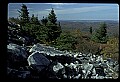 02256-00166-Spruce Knob National Recreation Area-Monongahela National Forest.jpg