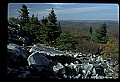 02256-00166-Spruce Knob National Recreation Area-Monongahela National Forest.jpg