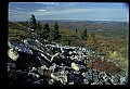 02256-00167-Spruce Knob National Recreation Area-Monongahela National Forest.jpg