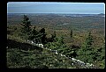 02256-00170-Spruce Knob National Recreation Area-Monongahela National Forest.jpg