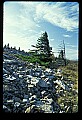 02256-00174-Spruce Knob National Recreation Area-Monongahela National Forest.jpg