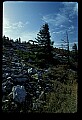 02256-00180-Spruce Knob National Recreation Area-Monongahela National Forest.jpg