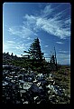 02256-00182-Spruce Knob National Recreation Area-Monongahela National Forest.jpg