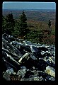 02256-00186-Spruce Knob National Recreation Area-Monongahela National Forest.jpg