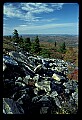 02256-00188-Spruce Knob National Recreation Area-Monongahela National Forest.jpg