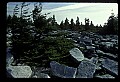 02256-00190-Spruce Knob National Recreation Area-Monongahela National Forest.jpg