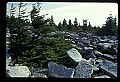 02256-00191-Spruce Knob National Recreation Area-Monongahela National Forest.jpg