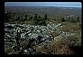 02256-00195-Spruce Knob National Recreation Area-Monongahela National Forest.jpg