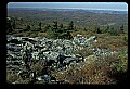 02256-00196-Spruce Knob National Recreation Area-Monongahela National Forest.jpg