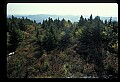02256-00207-Spruce Knob National Recreation Area-Monongahela National Forest.jpg