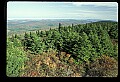 02256-00208-Spruce Knob National Recreation Area-Monongahela National Forest.jpg