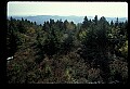02256-00210-Spruce Knob National Recreation Area-Monongahela National Forest.jpg