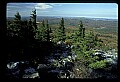 02256-00212-Spruce Knob National Recreation Area-Monongahela National Forest.jpg