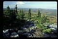 02256-00213-Spruce Knob National Recreation Area-Monongahela National Forest.jpg