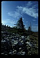 02256-00217-Spruce Knob National Recreation Area-Monongahela National Forest.jpg