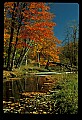 02256-00219-Spruce Knob National Recreation Area-Monongahela National Forest.jpg