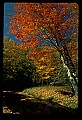 02256-00220-Spruce Knob National Recreation Area-Monongahela National Forest.jpg