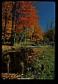 02256-00222-Spruce Knob National Recreation Area-Monongahela National Forest.jpg